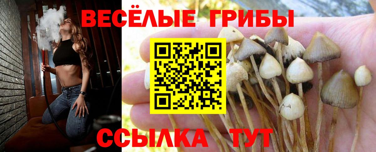 Мичуринск  Псилоцибиновые грибы прущие грибы  Вход с VPN 